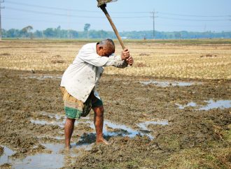 How Farmers in Punalur Are Embracing Organic Agriculture