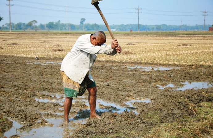 How Farmers in Punalur Are Embracing Organic Agriculture